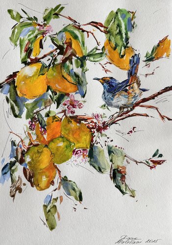 Lemon Tree van Diana Malivani, Tekening te koop op Singulart