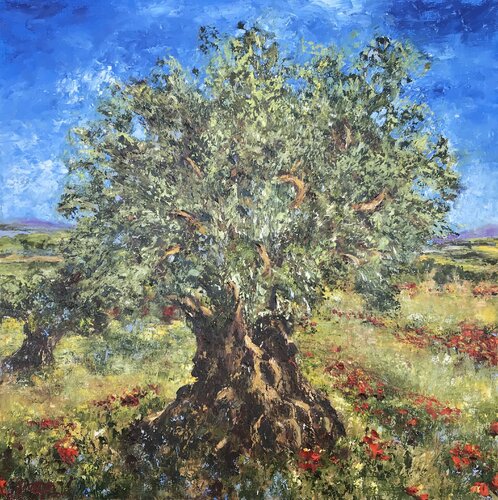 Olive Tree Diana Malivani