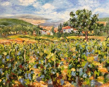Vignes sous le soleil Diana Malivani