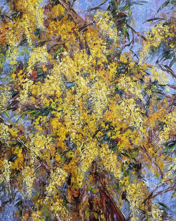 March. Mimosa Diana Malivani