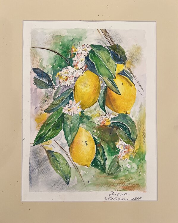 Lemons Diana Malivani