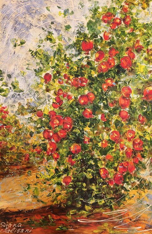 Pomegranate Tree Diana Malivani