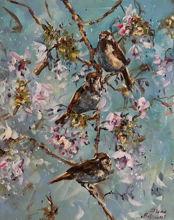 Sparrows Diana Malivani