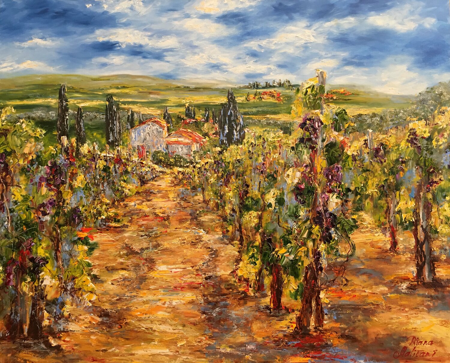 Vignes ensoleillées Diana Malivani
