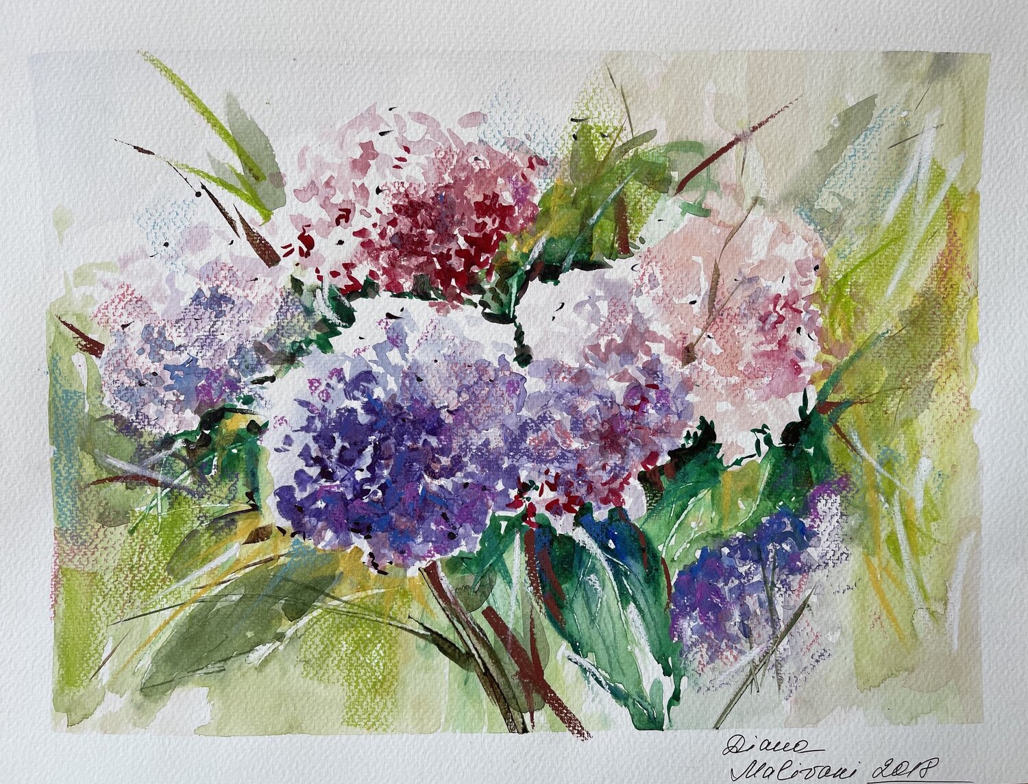 Spring Garden. N7 Diana Malivani