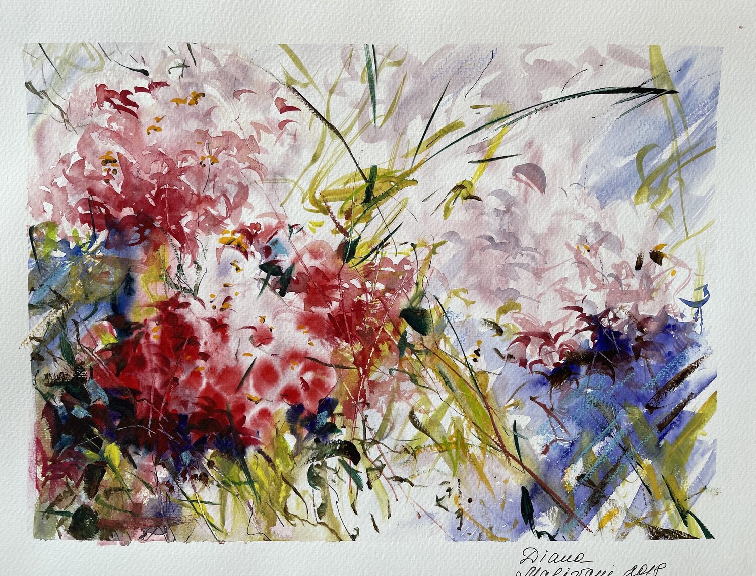 Summer Garden. N4 Diana Malivani