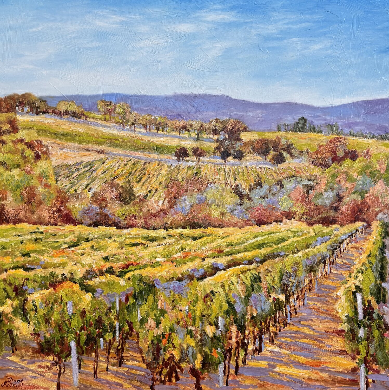 Vineyards Diana Malivani