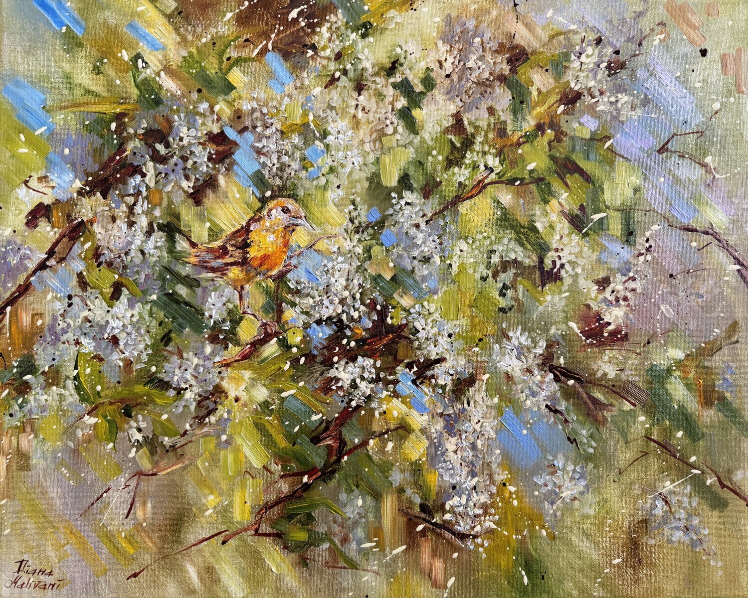 Bird Cherry Tree Diana Malivani