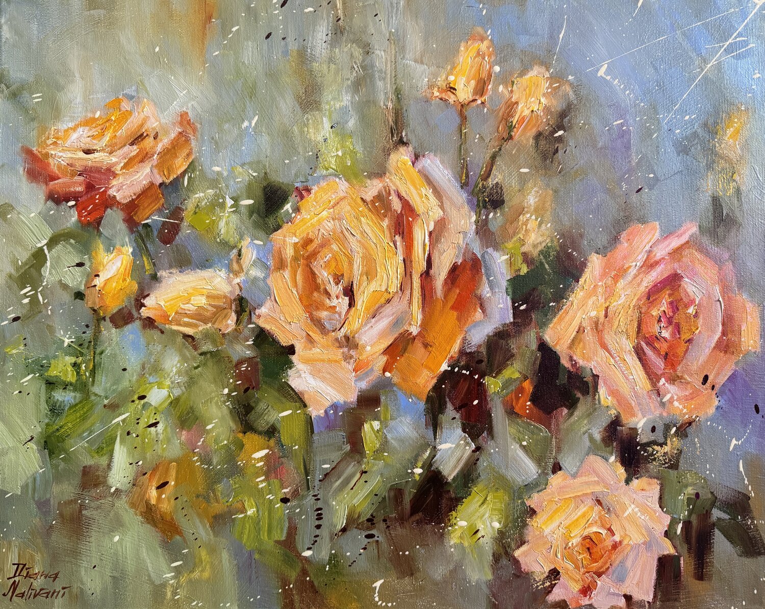 Les roses de jardin Diana Malivani