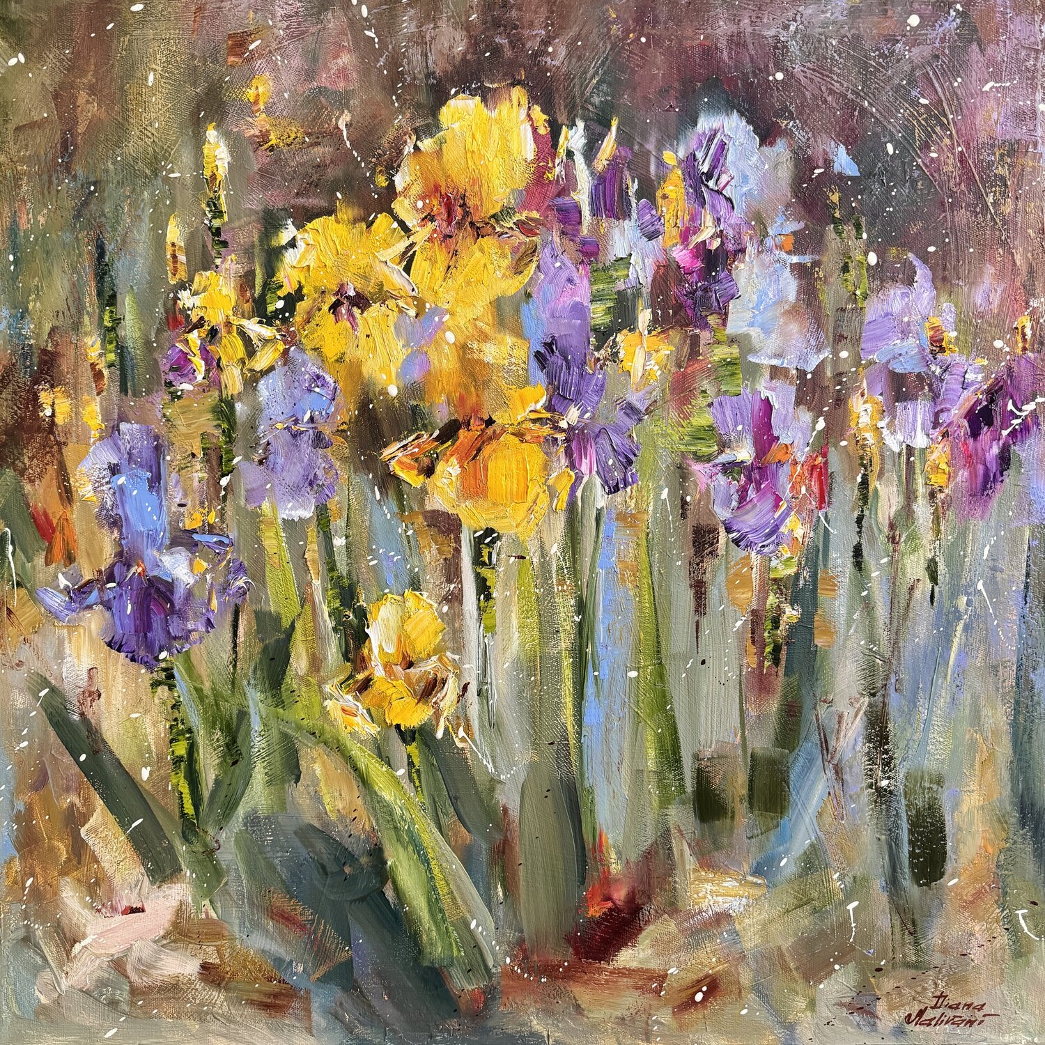 Iris Diana Malivani