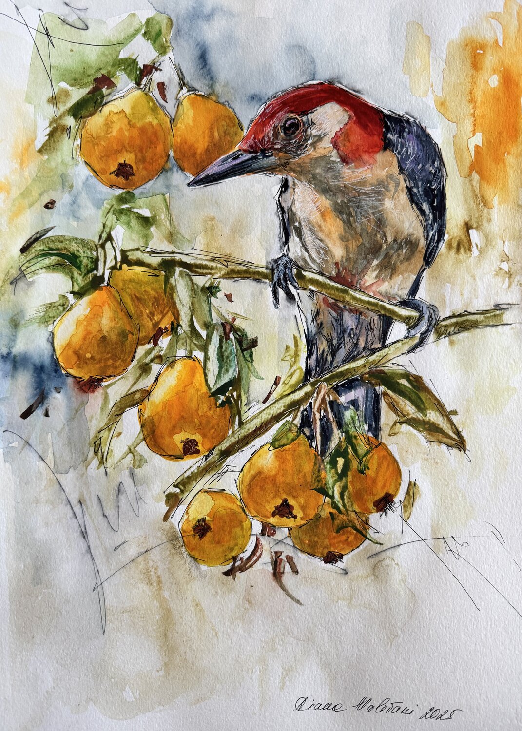 Pears Diana Malivani