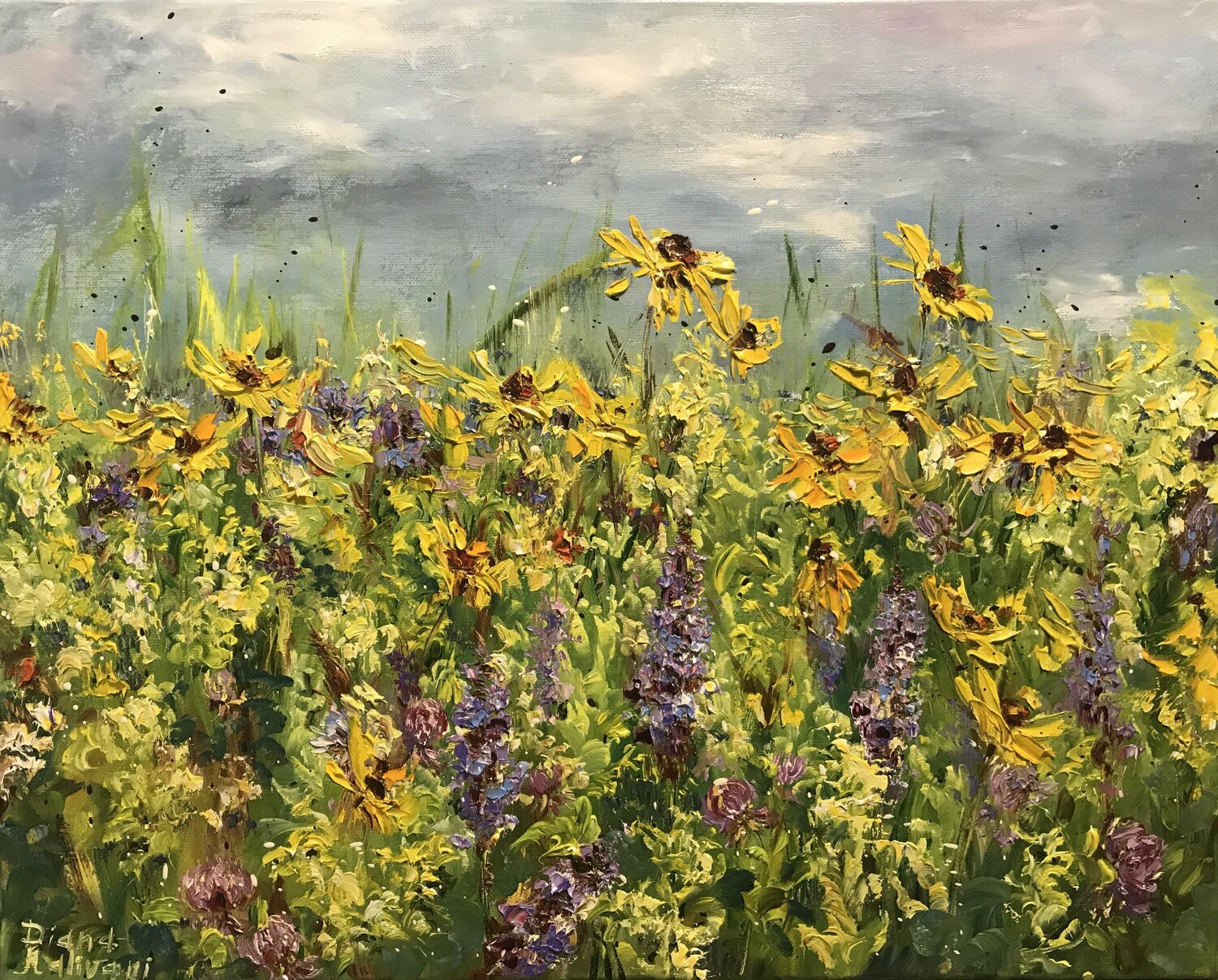 Summer Meadow Diana Malivani