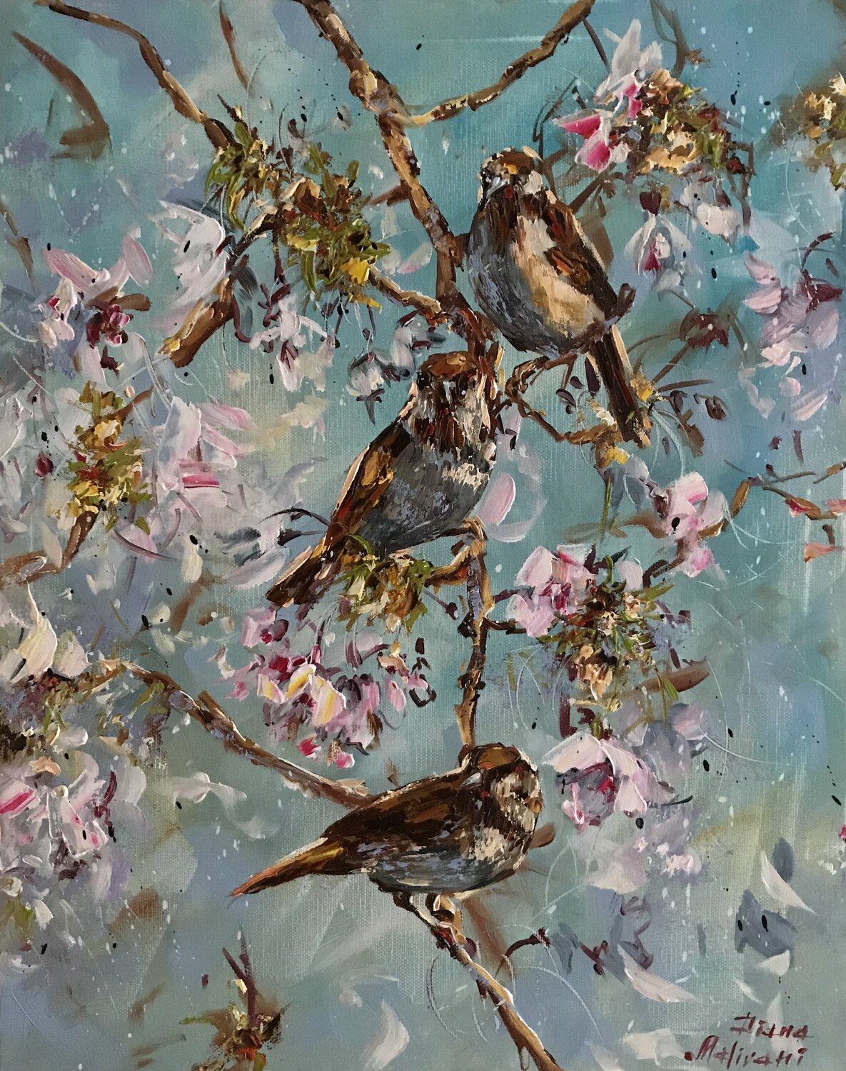 Sparrows Diana Malivani