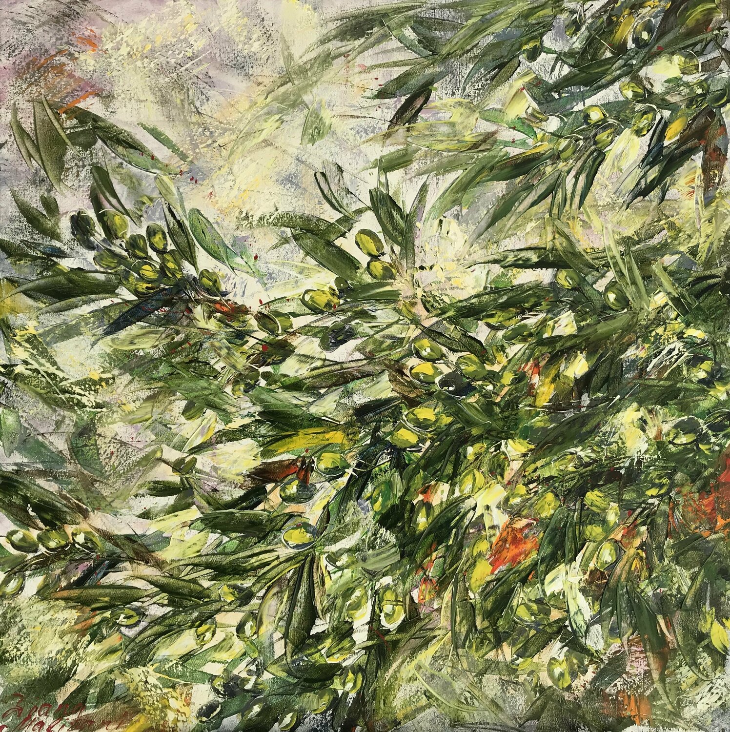 Green Olives Diana Malivani