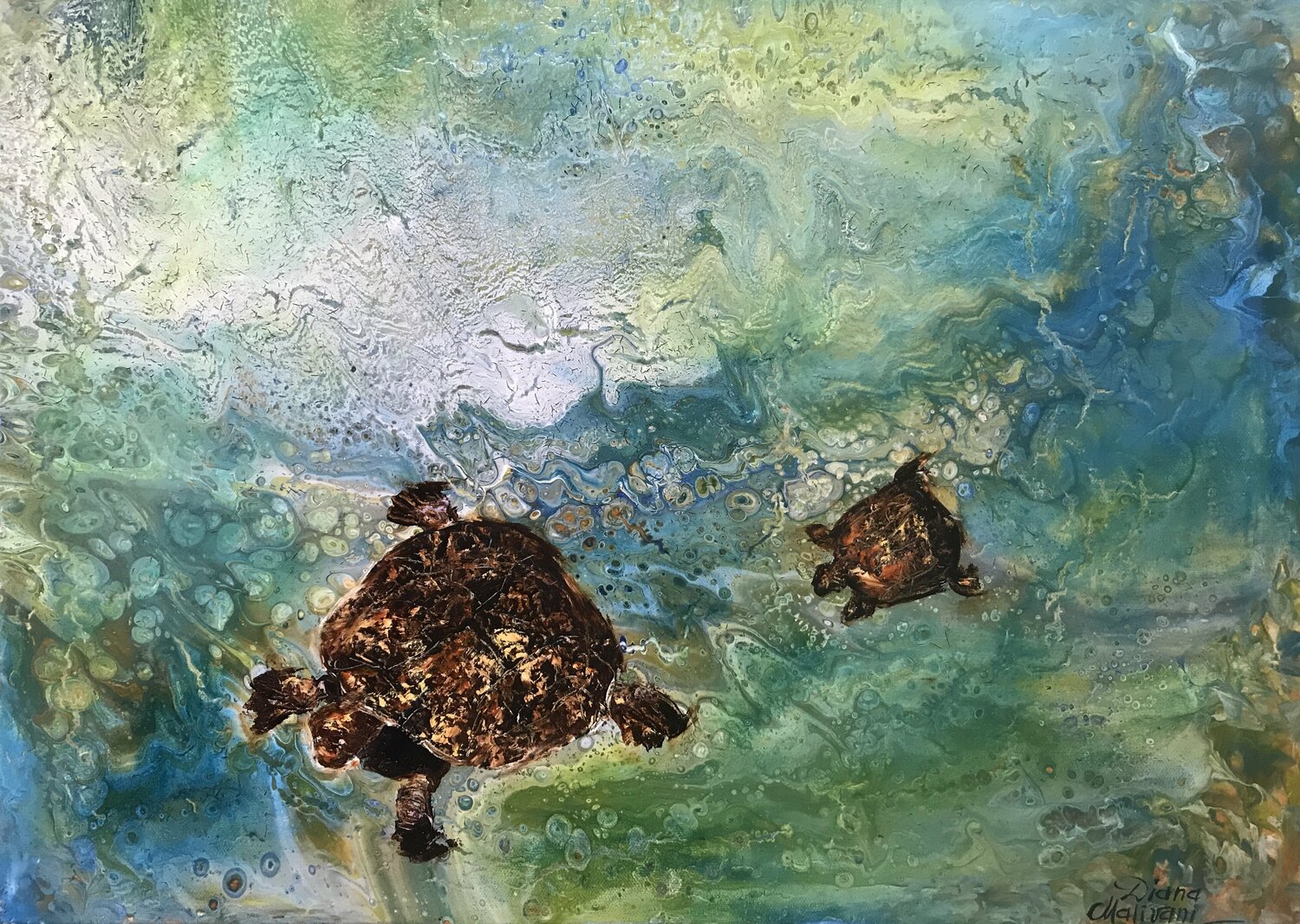 The Sea Turtles Diana Malivani