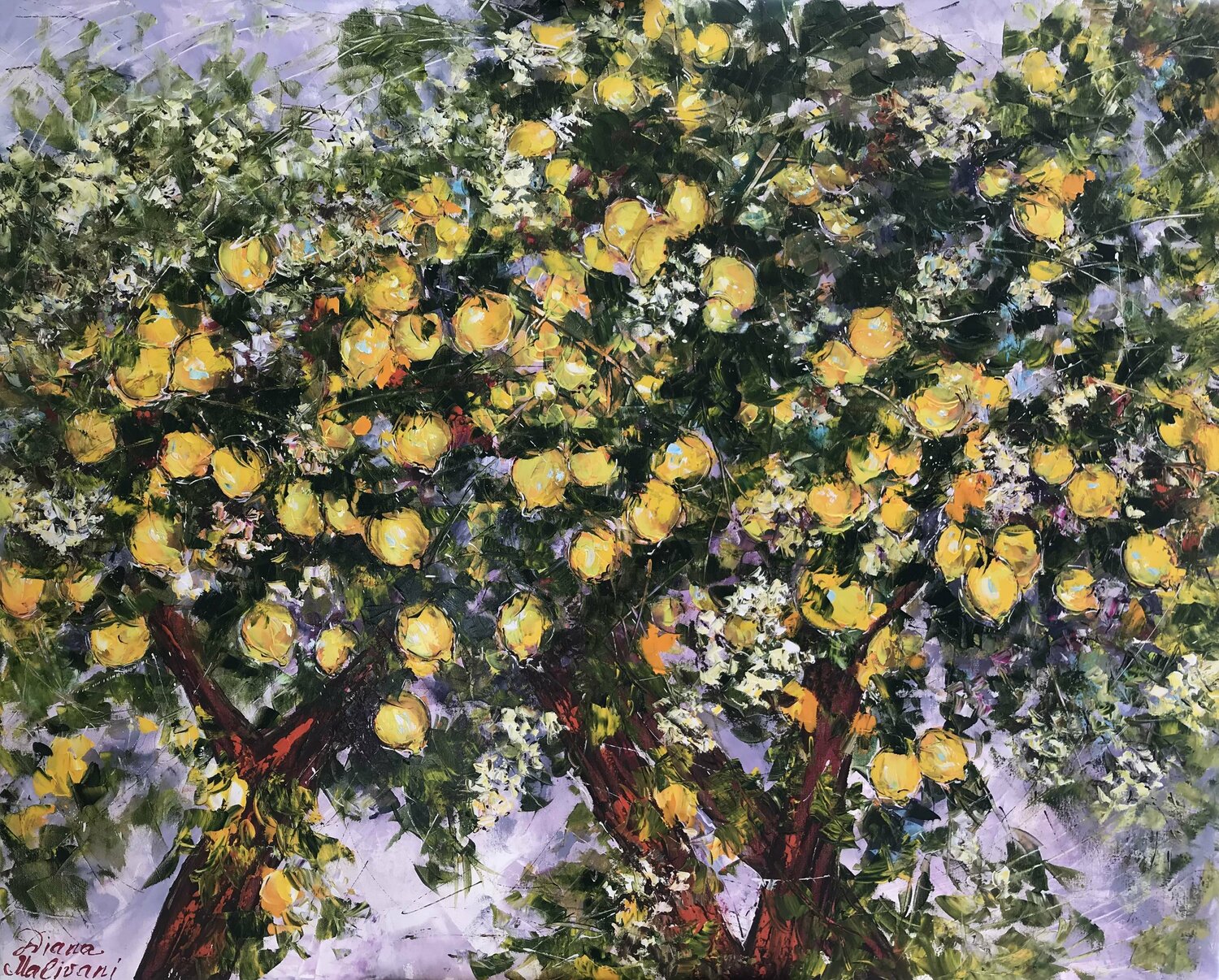 Bloomy Lemon Trees Diana Malivani