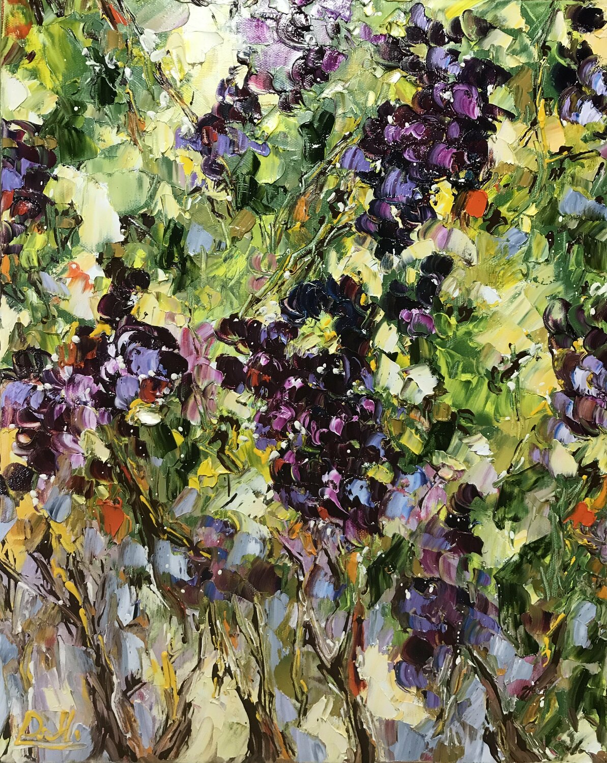 Grapes Diana Malivani