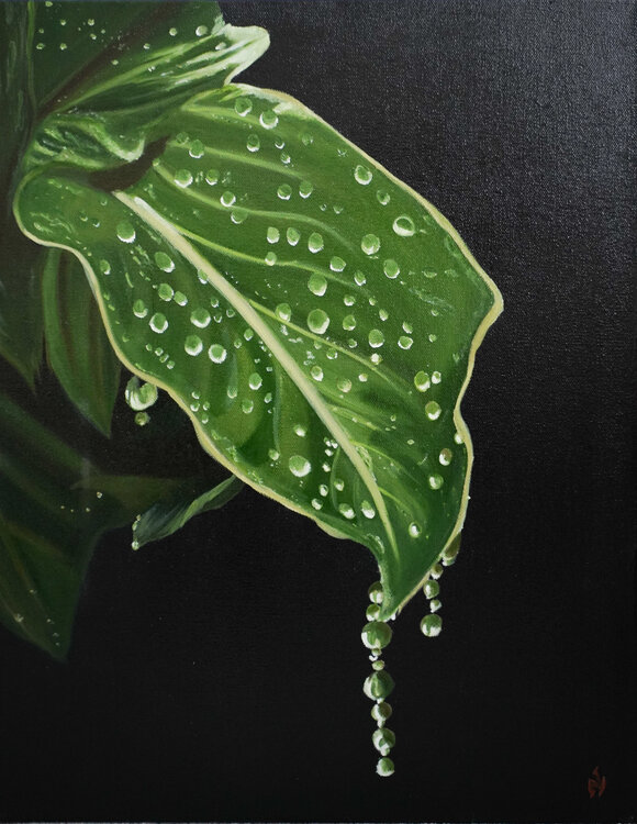 The Drop Leaf nivya gudhanti