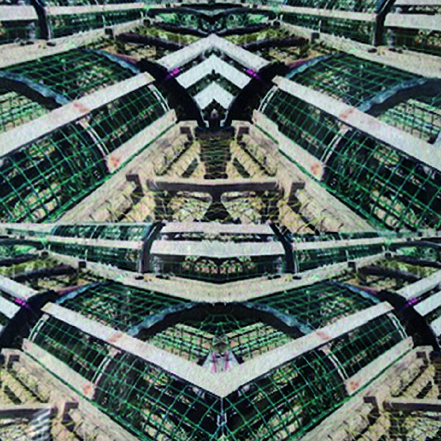 Des cages, un oiseau Micheline Couture