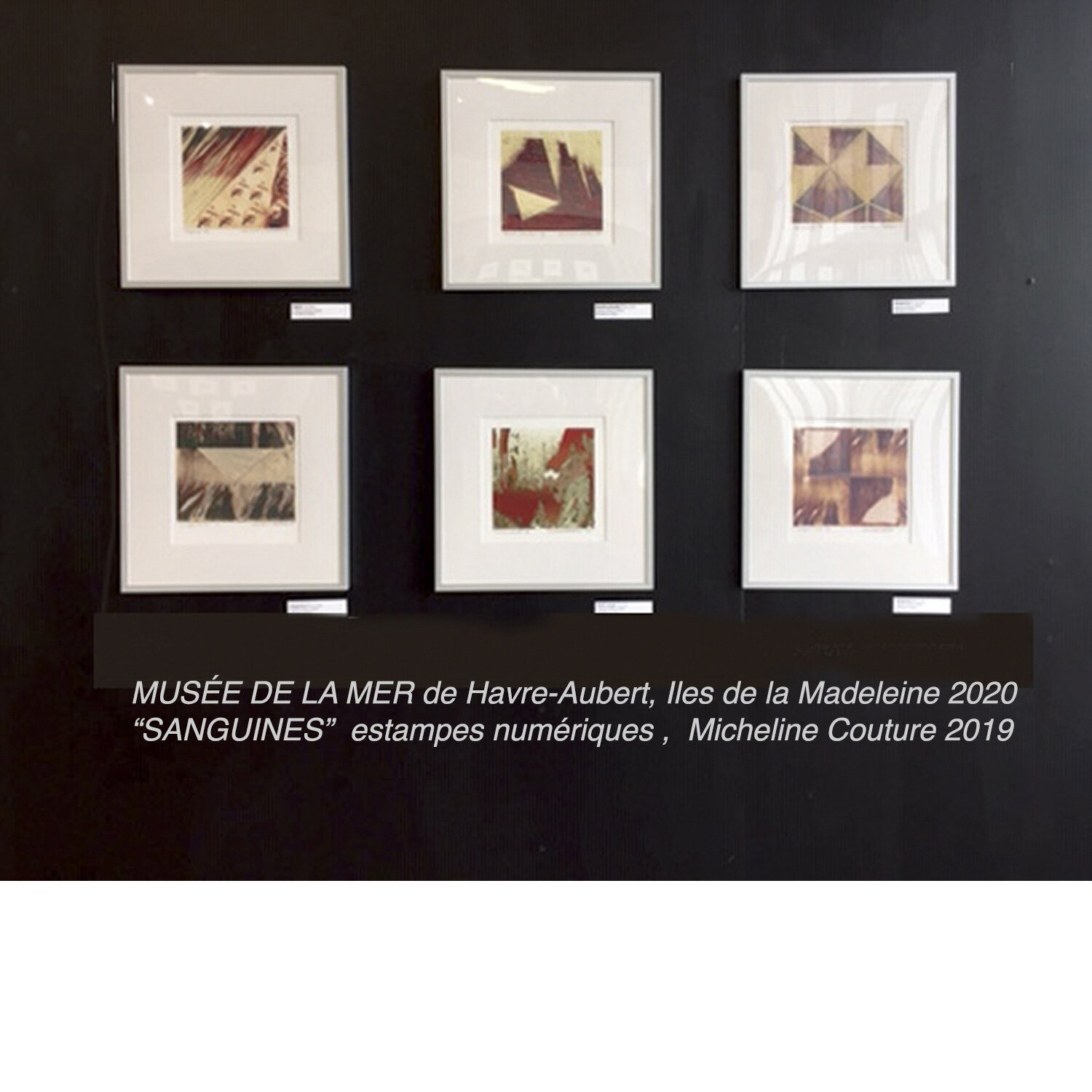 "SANGUINES" Micheline Couture