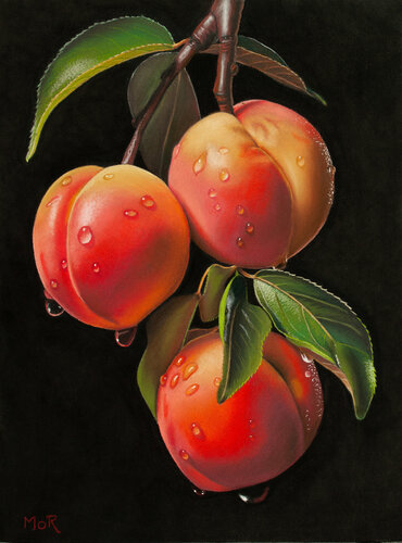 Obstgartenjuwelen by Dietrich Moravec, Work on Paper for Sale on Singulart