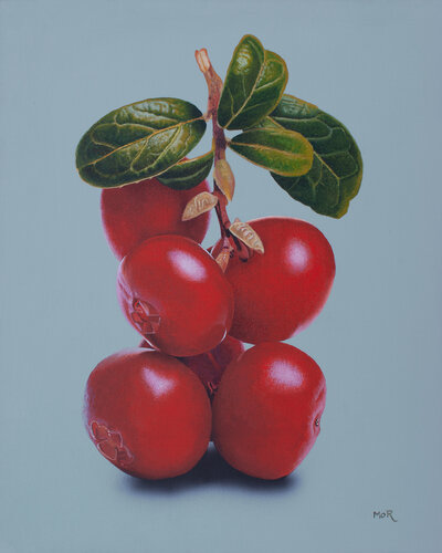 Cranberryzweig van Dietrich Moravec, Schilderij te koop op Singulart