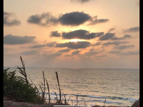 Shore in mid Autumn evening di Tsila MacKay, Fotografia in vendita su Singulart