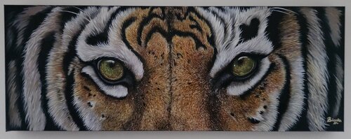 Eyes of the tiger von Bianka Hudson, Malerei kaufen auf Singulart