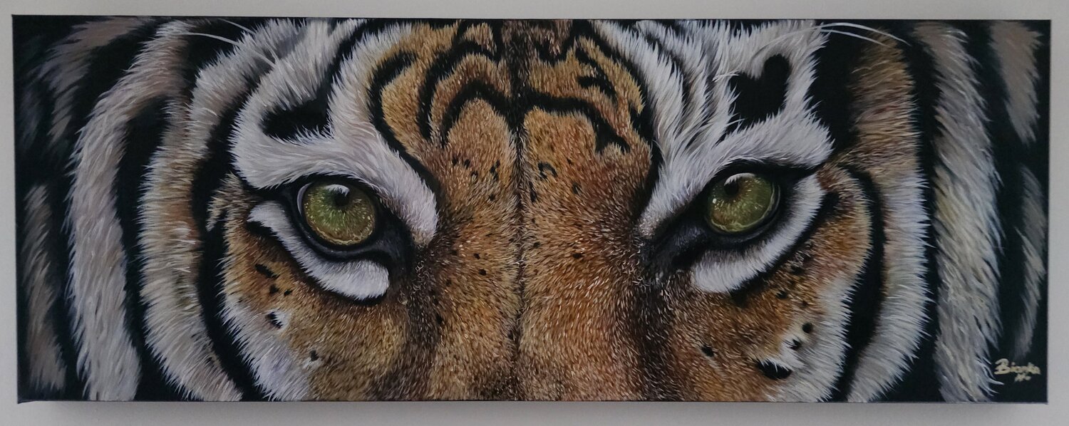 Eyes of the tiger Bianka Hudson Dipinto originale in vendita