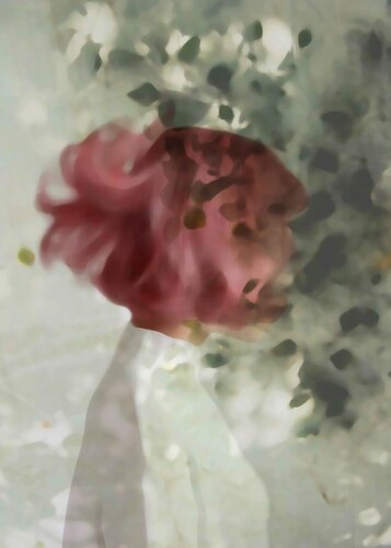 Herbarium no 7 di Eva Laska, Digitale in vendita su Singulart