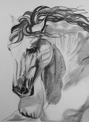 White Horse von Jorge Moran, Zeichnungen kaufen auf Singulart