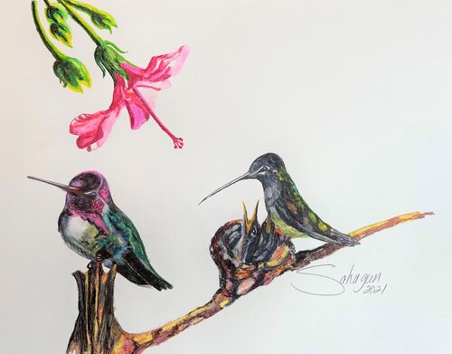 Hummingbird Family von Jorge Moran, Zeichnungen kaufen auf Singulart