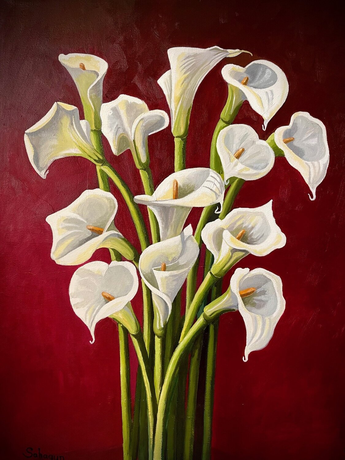 Calla Lillies Jorge Moran