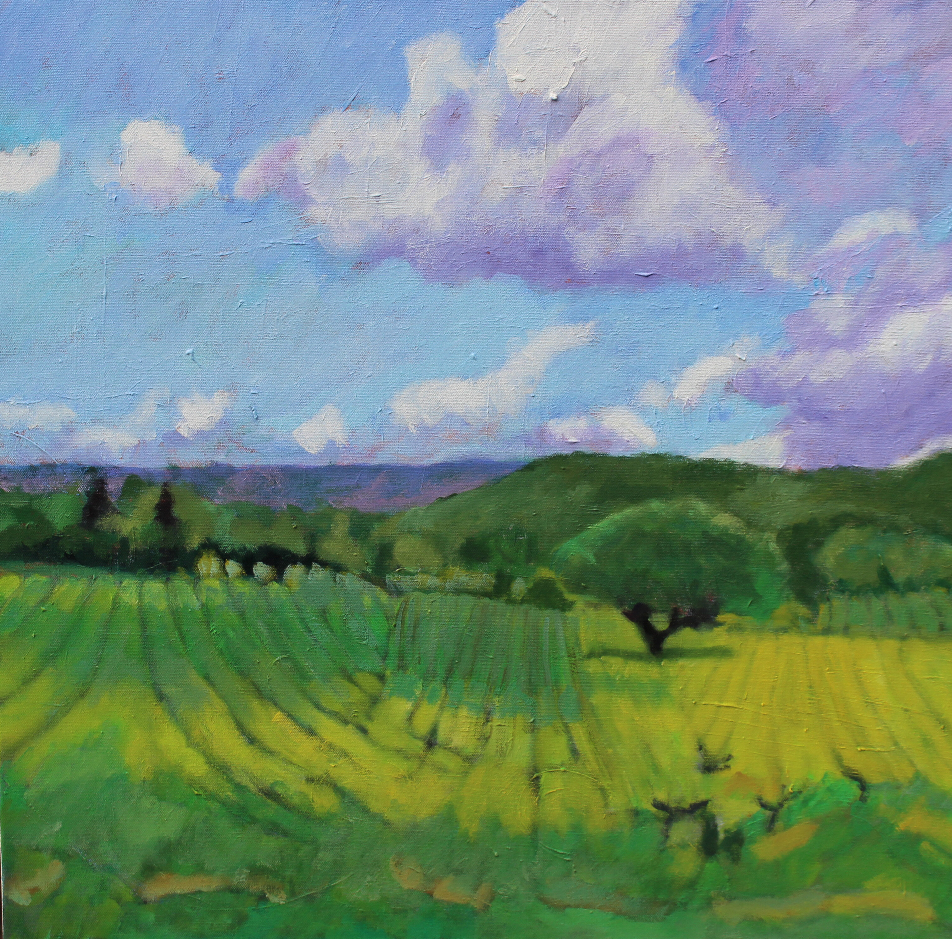 Una gita in campagna