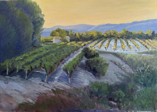 Where Sunlight Meets Shadow Suzana Pirtovšek