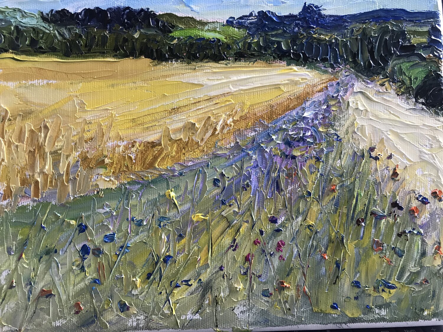 Fields of Gold Suzana Pirtovšek Originalgemälde zu verkaufen