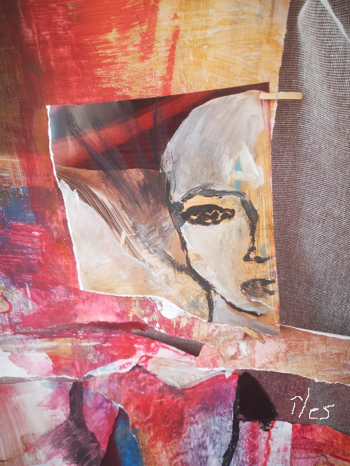 Parcelle Abricodéal ÃŽles