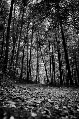 In The Shape Of Protection de Alan Muller, Fotografía a la venta en Singulart