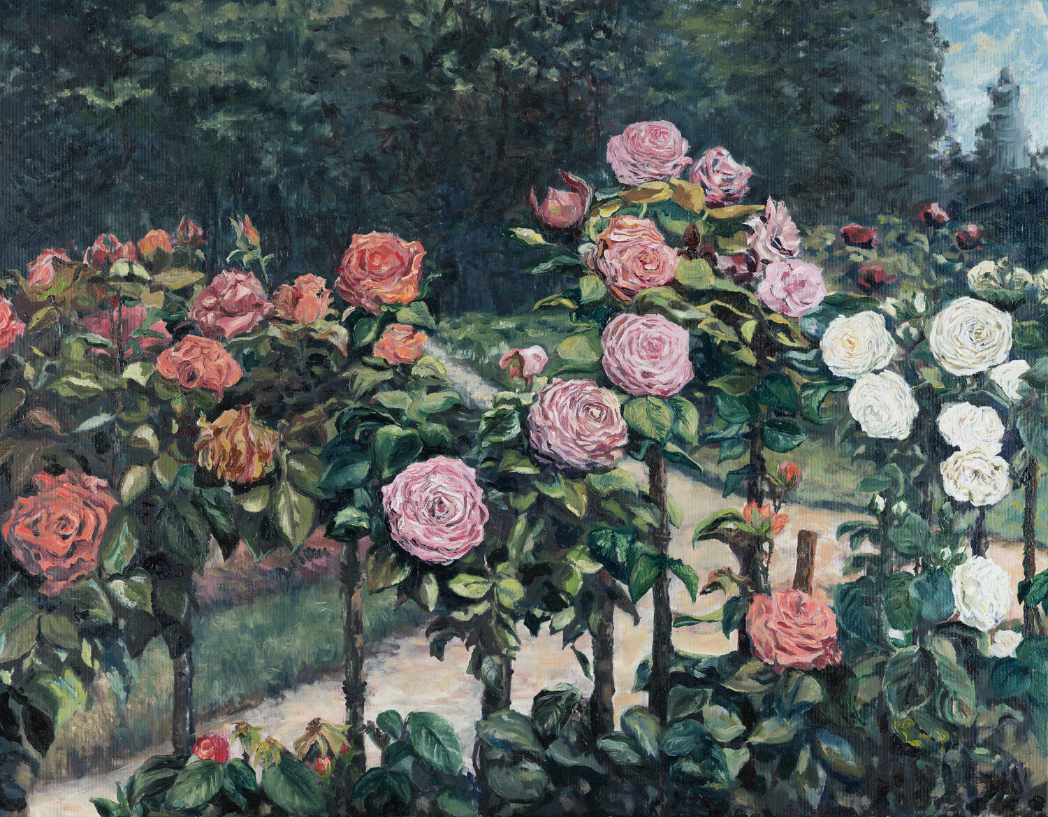 Stammrosen im Park Sophia Maeno