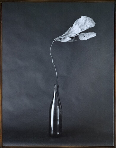 FLEURISME-Dead leaf van Tenmi Hanagi, Fotografie te koop op Singulart