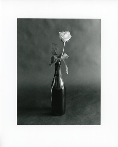 FLEURISME-Rosa von Tenmi Hanagi, Fotografie kaufen auf Singulart