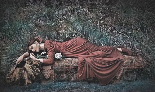 la Traviata ou la Dame aux camélias by Franck Brizzi, Photography for Sale on Singulart
