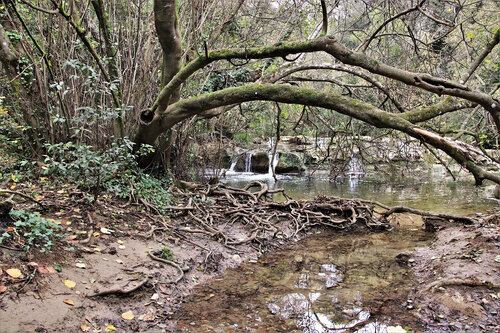 Elfique source van Franck Brizzi, Fotografie te koop op Singulart