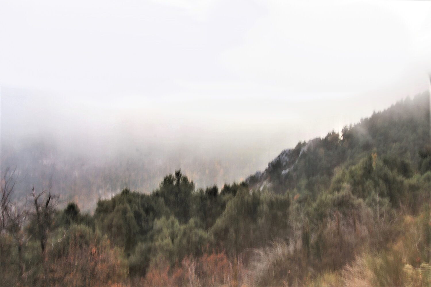 Automne mystèrieux Franck Brizzi