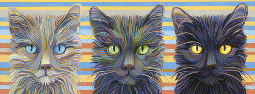 Same Cat Different Colors by Kate Hoyer, Painting for Sale on Singulart
