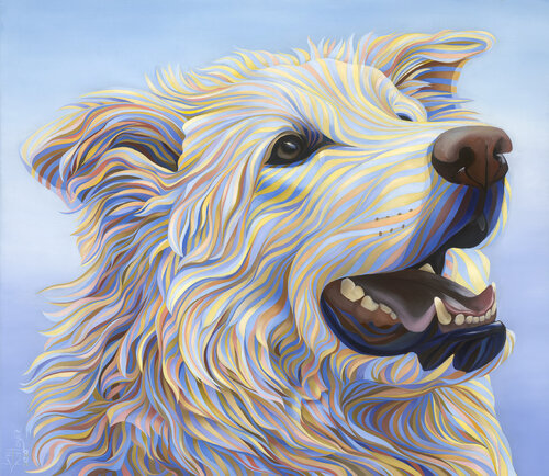 Abby the White Shepherd van Kate Hoyer, Schilderij te koop op Singulart