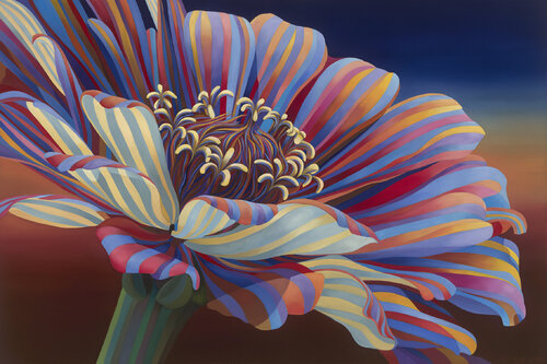 Red & Blue Zinnia van Kate Hoyer, Schilderij te koop op Singulart