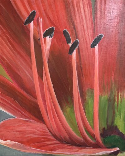 Herz der Amaryllis / Coeur de l'amaryllis by Marie-Luise Zetchi Bolte, 회화 for Sale on Singulart