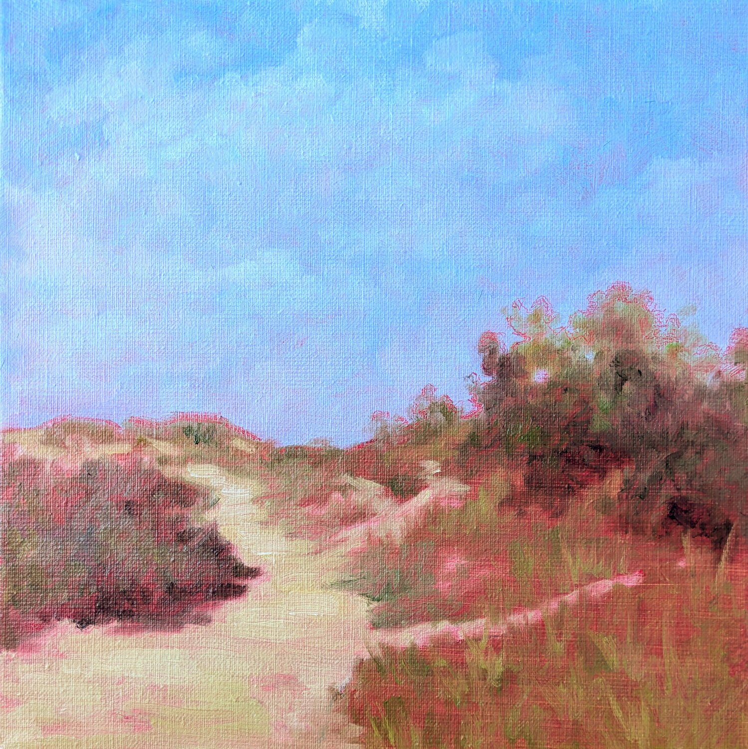 Dunes, Zeeland Stephanie van der Klooster