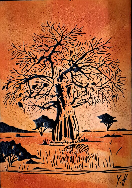 "Baobab au zèbre" yann hervis